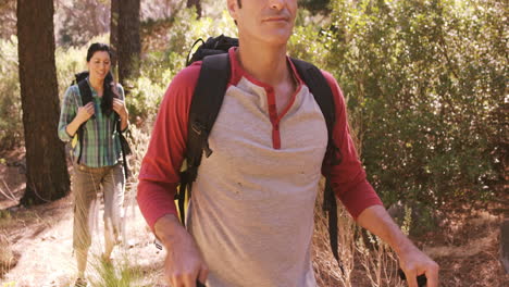 couple is walking in the forest