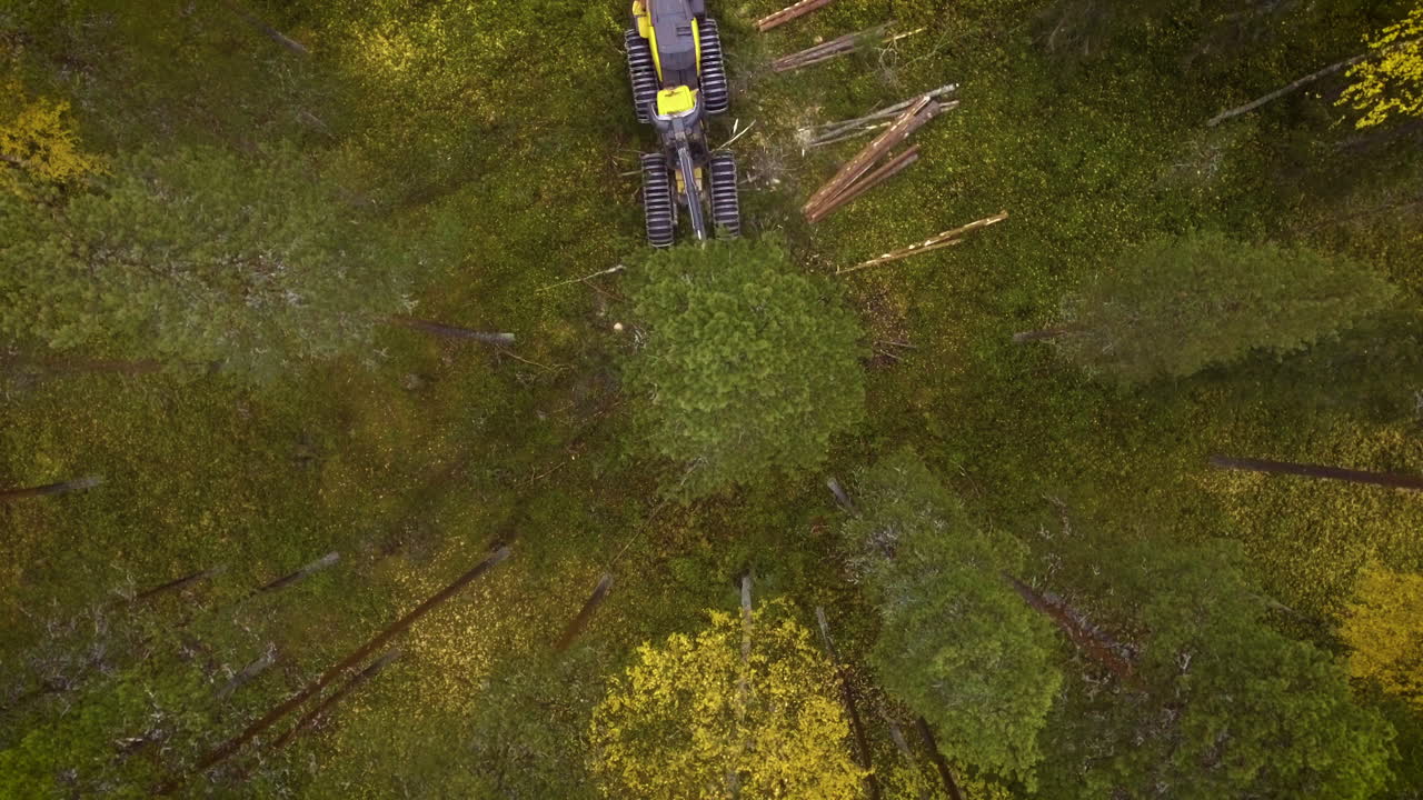 Scorpion che svolge lavori forestali.
