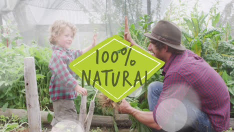 animation of 100 percent natural text over caucasian father and son gardening