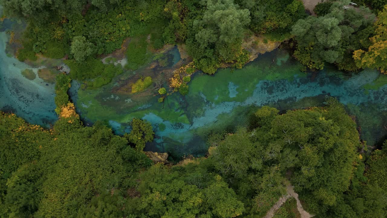 Alberi verdi intorno all'acqua turchese della famosa sorgente fluviale dell'Albania, Syri i Kaltër, Occhio Blu