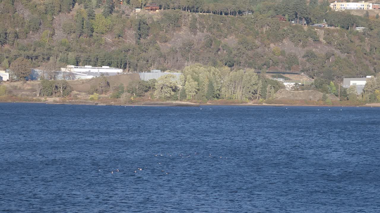 콜롬비아 강 협곡 (columbia river gorge) - 하드 강 (hood river) 의 강변 풍경.