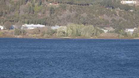 Columbia-River-Gorge-riverbank-landscape-panorama,-Hood-River,-USA