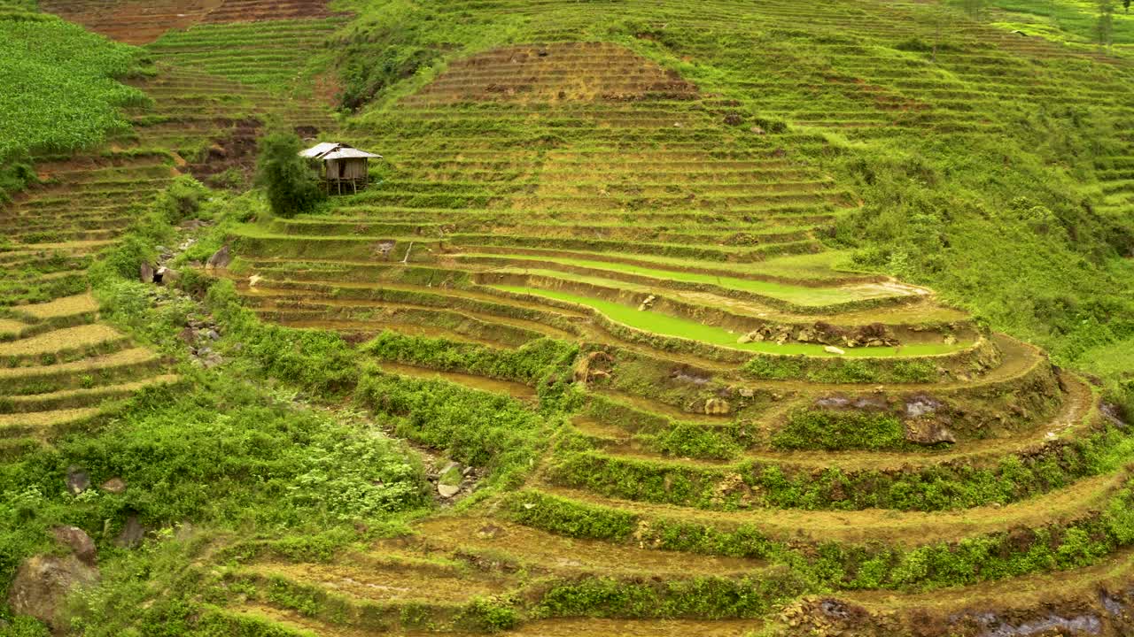 revelación aérea de un hermoso valle grande lleno de terrazas de arroz en vietnam