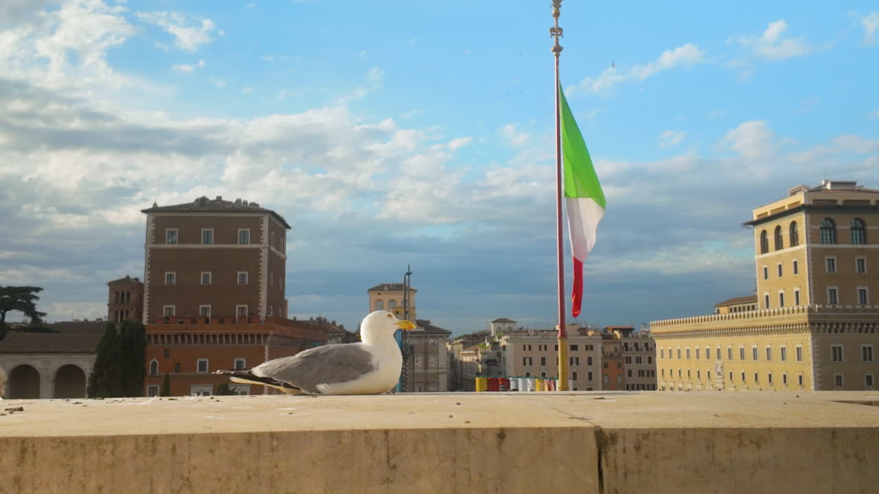 Seagull perched on a stone wall with Italian flag and historic Rome buildings in the background.