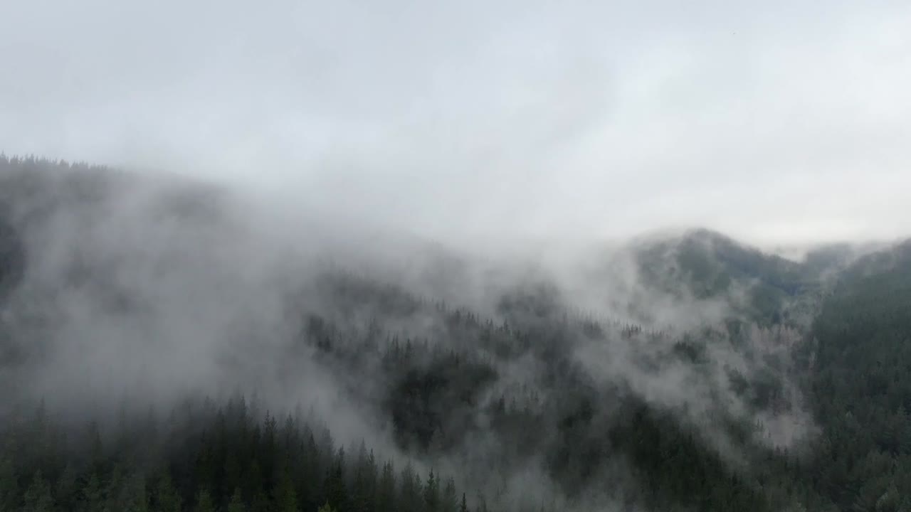 숲-1에서 낮게 매달린 구름의 드론 하이퍼랩스