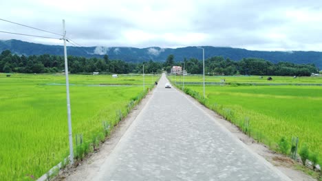 aerial view shot of paddy field in arunachal pradesh