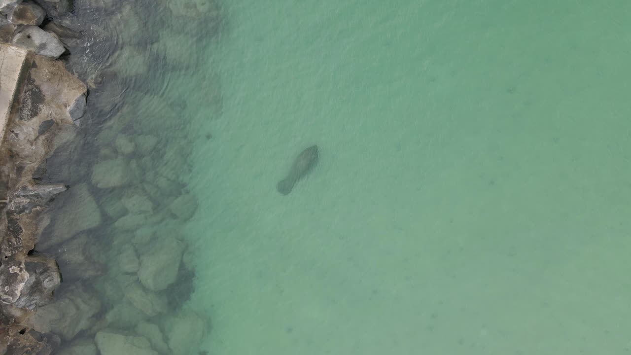 Vista Aerea dell'Oceano Limpido Scende Verso un Lamantino Vicino al Frangiflutti Roccioso di Haulover