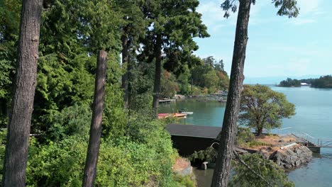 a shot of private docks with arbutus trees growing in the background in view royal, victoria, canada