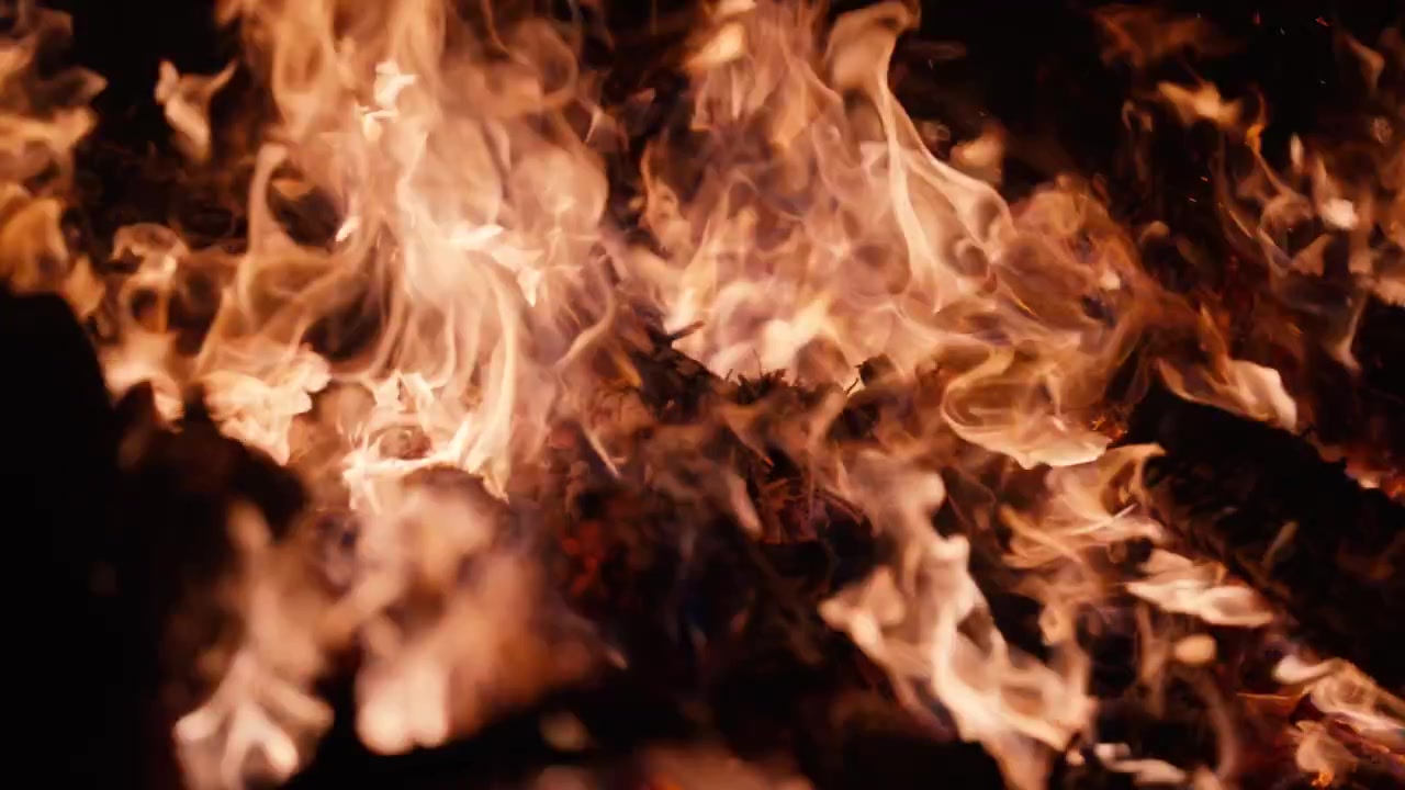 Close-up of Bright Orange Flames Burning in a Bonfire at Night
