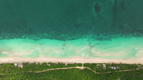 aerial fly turquoise water paradise of tulúm white beach shore, caribbean mexican summer vibes landscape
