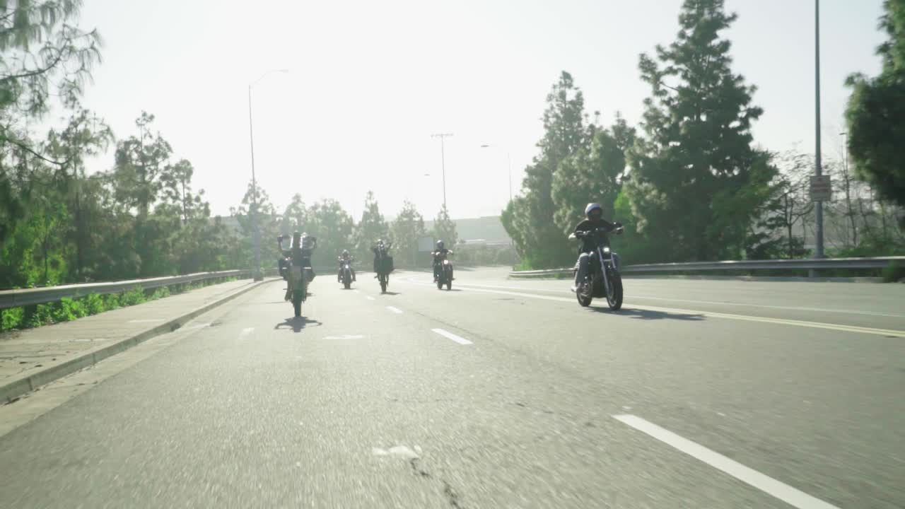 미친 할리 승마 팩은 바퀴벌레를합니다