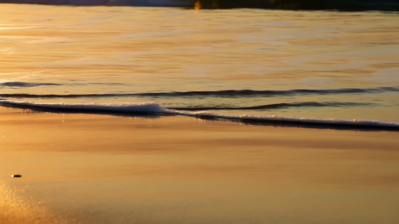 Onde dell'ora d'oro che lambiscono la sabbia bagnata, bordo di schiuma morbida, bagnasciuga riflettente, calda luce ambrata, atmosfera rilassante.