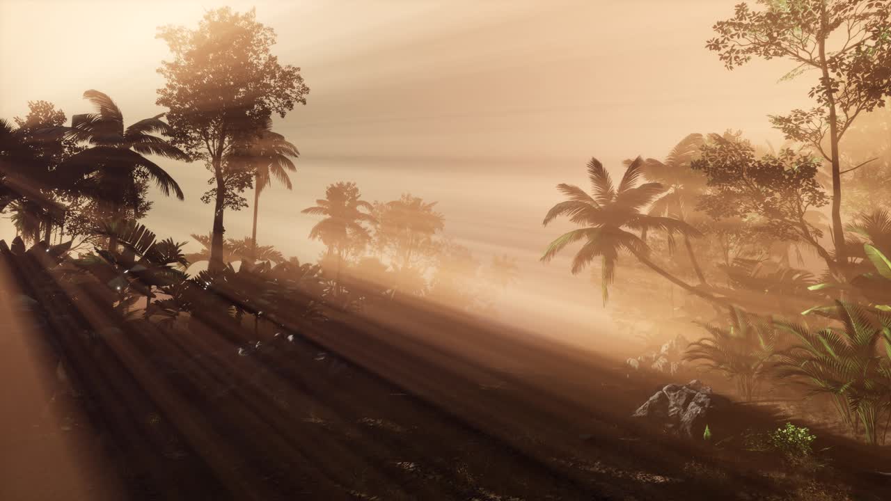 los rayos del atardecer a través de las palmeras