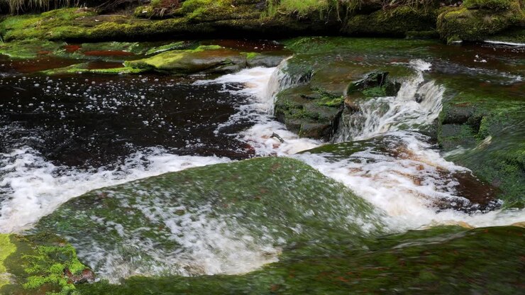 Slow moving forest stream waterfall, nature's serenity scene with tranquil pool below, lush greenery and moss-covered stones, sense of peacefulness and untouched beauty of nature in forest ecosystem