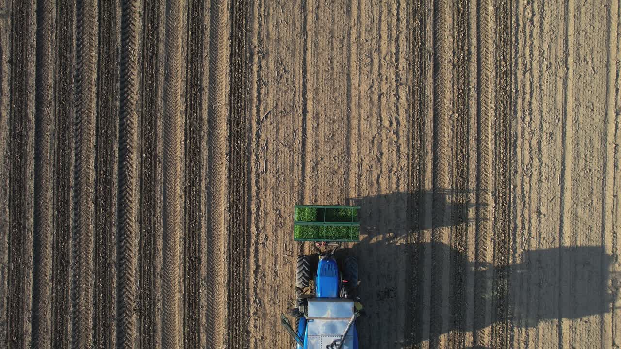 Riprese aeree di un agricoltore e lavoratori agricoli su un trattore e una seminatrice semi-automatica che piantano piante di pomodoro su terreno erpicato durante la primavera