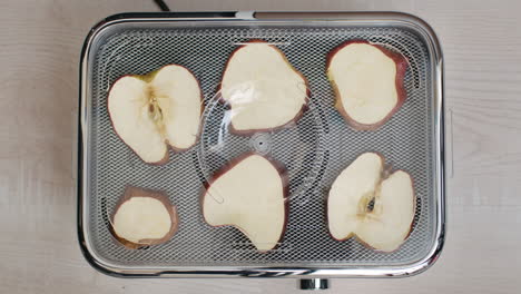lapso de tiempo de deshidratación de frutas saludables, deliciosas rodajas de manzana roja usando deshidratador de alimentos