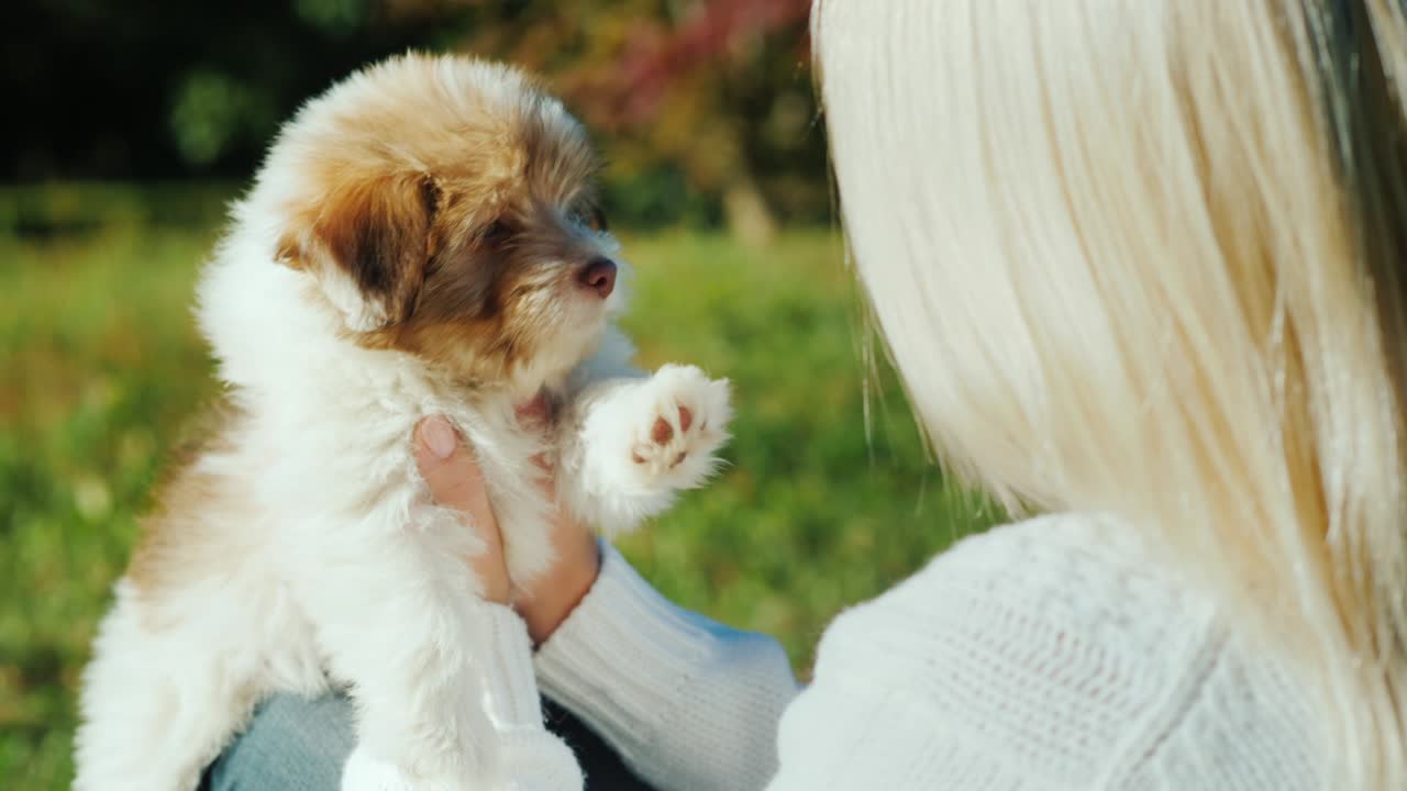 한 여자가 귀여운 강아지를 들고 있다