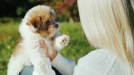 una mujer está sosteniendo un lindo cachorro