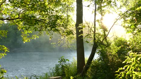 beautiful steamy running water with golden sun and gorgeous green forest, panning right