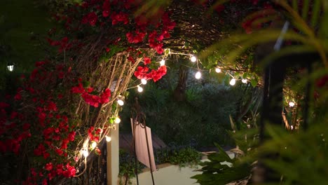 bougainvillea flowers and garland of lights on an arched entrance to a house at night