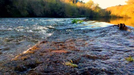 close up of river tambre flowing over rocks with cigarette butt floating past