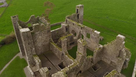 aerial dolly above leafless tree establishes bective abbey walls in grassy plains with moss