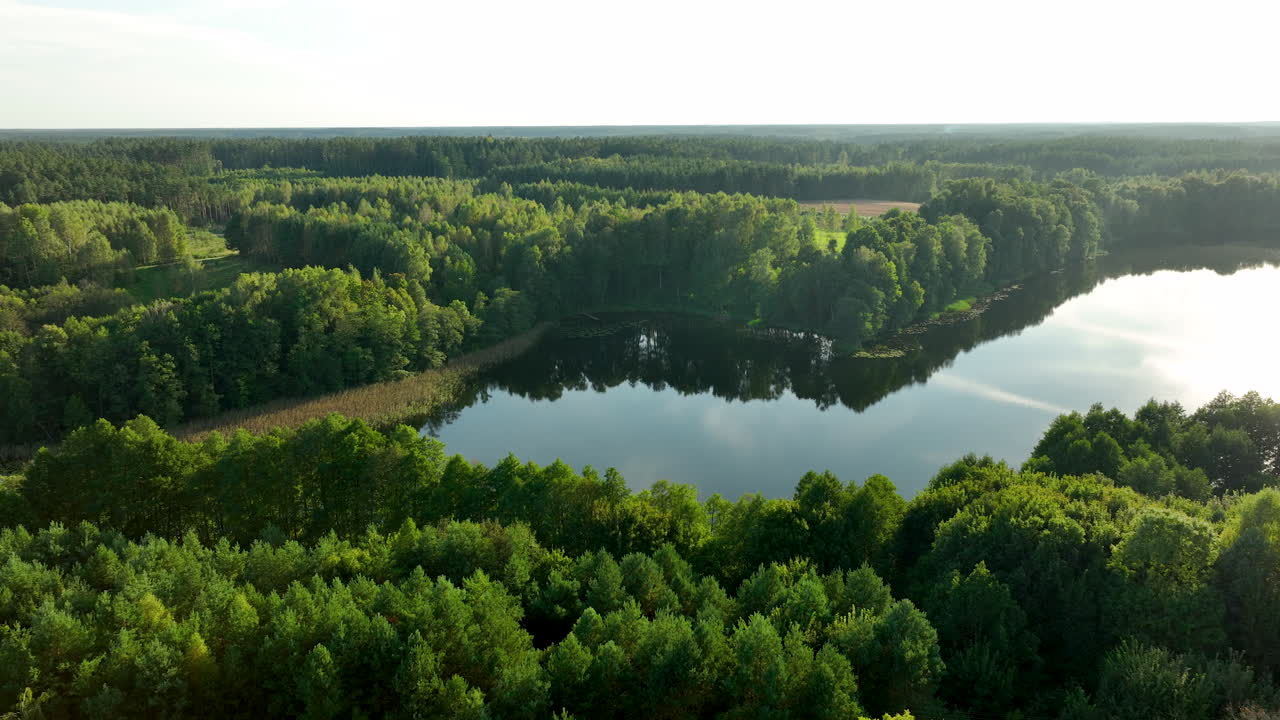 Aerial view of a serene, dark lake tucked deep within a vast, dense green forest under a bright sky, showcasing untouched nature and peaceful solitude - Borzechowo, pomeranai