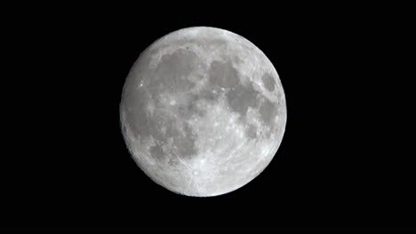 a bat flies across the face of a full moon, slightly distorted by atmospheric turbulence