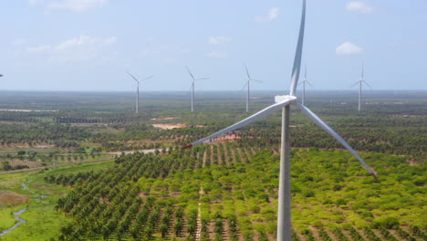 Aerial-view-of-wind-fan-in-the-middle-of-a-green-area-of-palm-trees,-Ceara,-Brazil