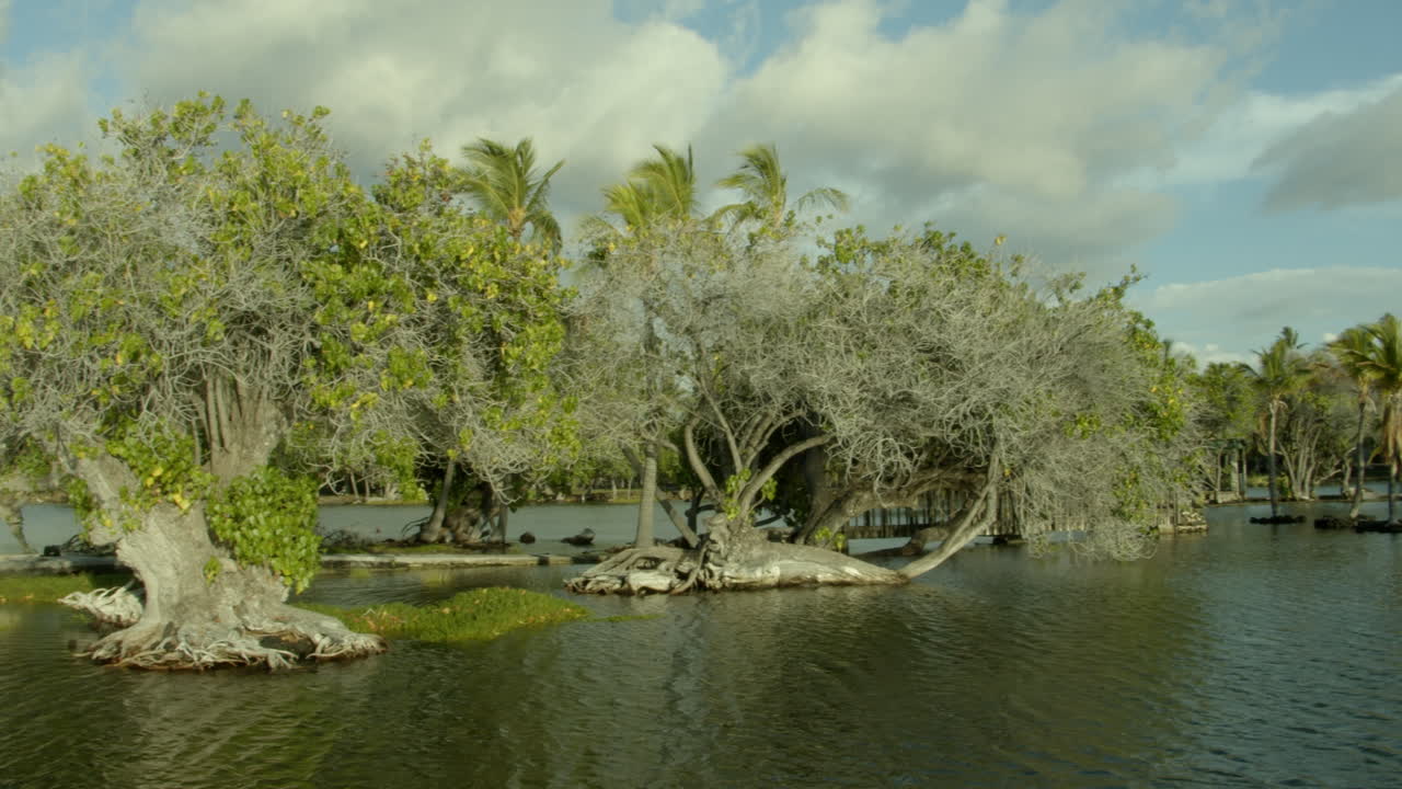 Hawaii  Fish Ponds Trees Clouds Sky Big Island Mauna Lani
