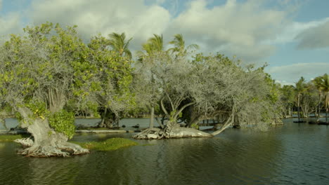 hawaii  fish ponds trees clouds sky big island mauna lani