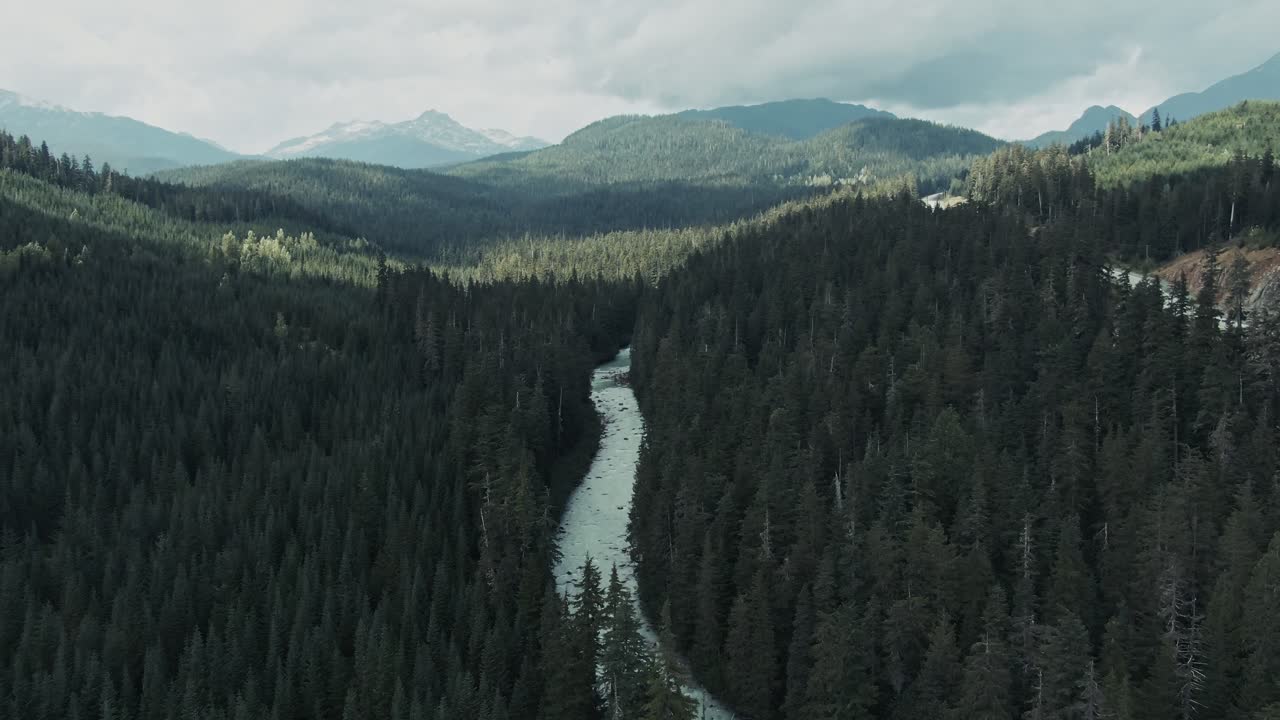Kratt og tett skog med frossen elv ved soloppgang i Britisk Columbia, Canada.