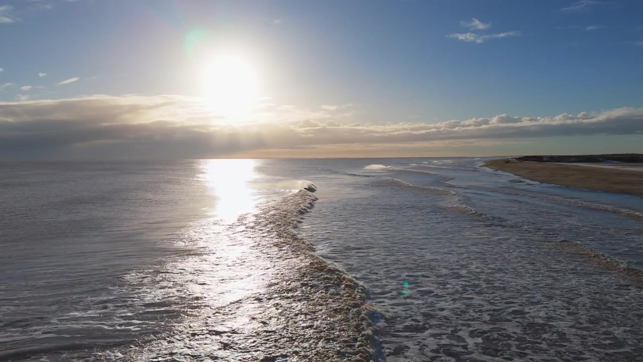Il tramonto proietta una luce dorata sull'oceano. Le onde riflettono il bagliore del sole. La sabbia si estende lungo la costa. I gabbiani planano nel cielo. Perfetto per contenuti sulla natura o sui viaggi.
