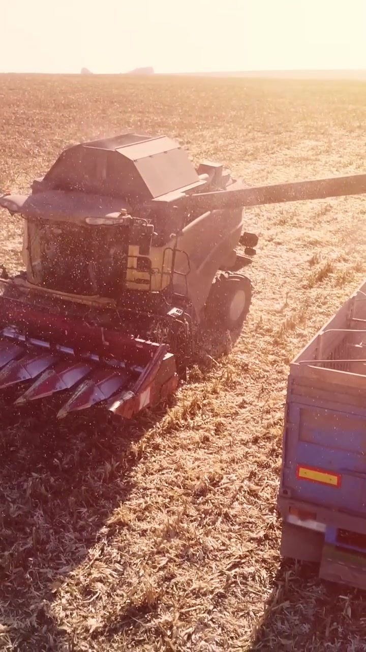 Combine Harvester Unloading Grain into Truck in Sunny Field