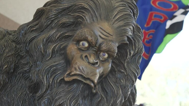 Bigfoot Sasquatch-statue, billedoptagelser b-roll af ansigt, der ser ind i kameraet