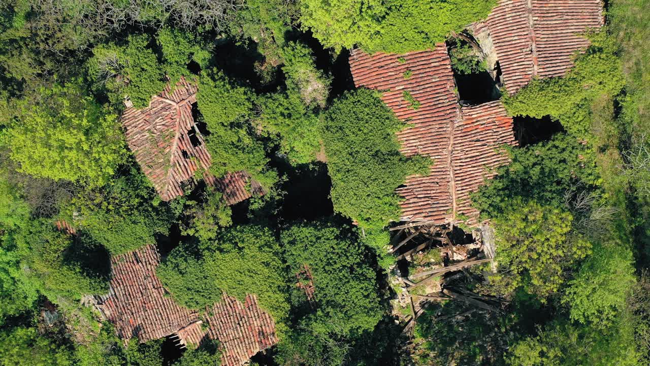Aerial Over Abandoned Village Slapnik With Overgrown Forest. Top Down VIew, Follow Shot