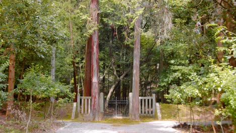 diapositiva de una hermosa entrada a un templo en kyoto, japón 4k cámara lenta