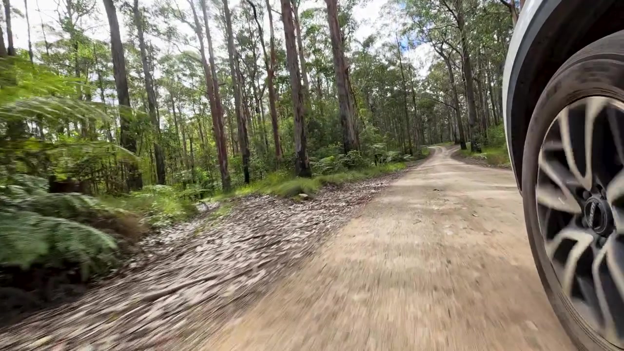 Una vista dal basso cattura una ruota di veicolo che percorre una strada sterrata non asfaltata nella foresta