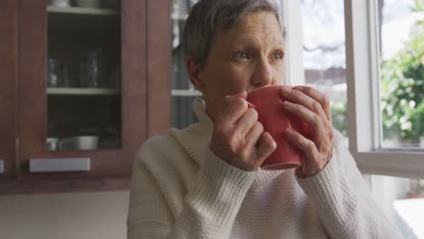 Senior-woman-at-home-alone