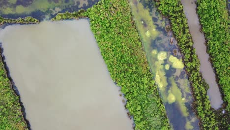 Marshland-waterways-of-Domaine-de-Graveyron-nature-preserve-in-Arcachon-area-France,-Aerial-top-view-reveal-shot