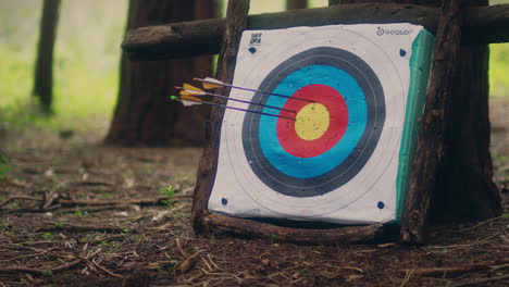 archery arrow hits target slow motion low close shot