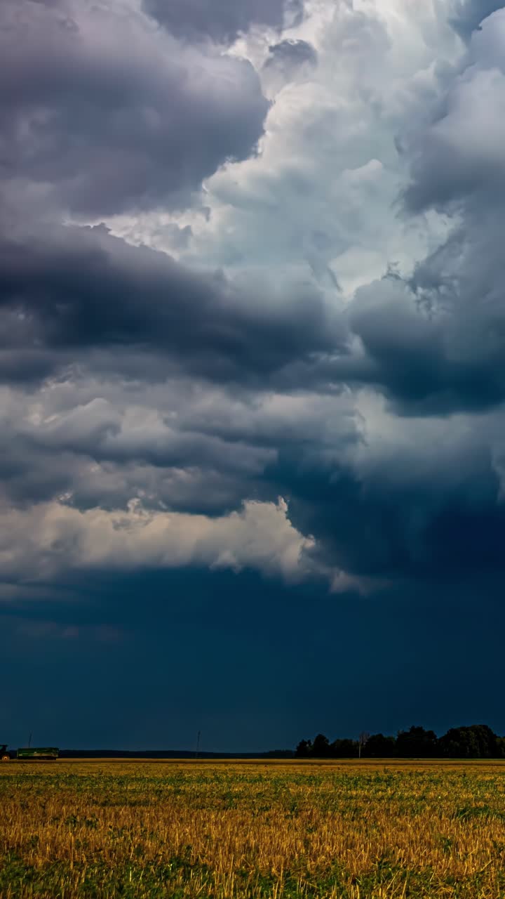 Dramatic Latvian skies roll over golden fields in this striking vertical storm-chasing timelapse