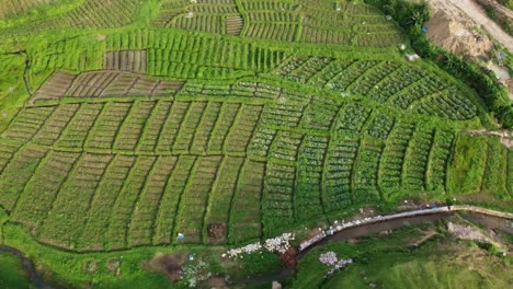 drone video of meghalaya's natural beauty.