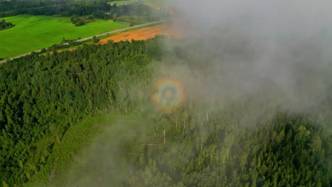 a scene of mist-covered, verdant greenery in a mountainous region, featuring a visible glory - aerial drone shot