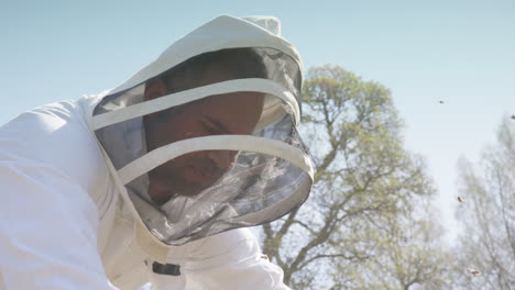 beekeeping - beekeeper face with smock during inspection, slow motion close up