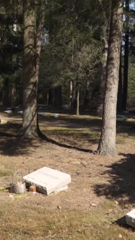 war cemetery in forest