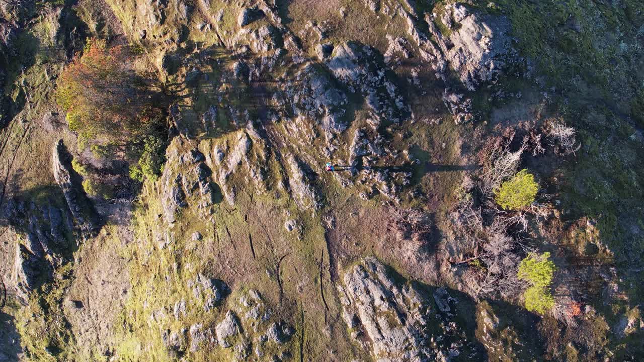 밴쿠버 섬, 캐나다, 고독한 나무 언덕에 공중 남성 등산객