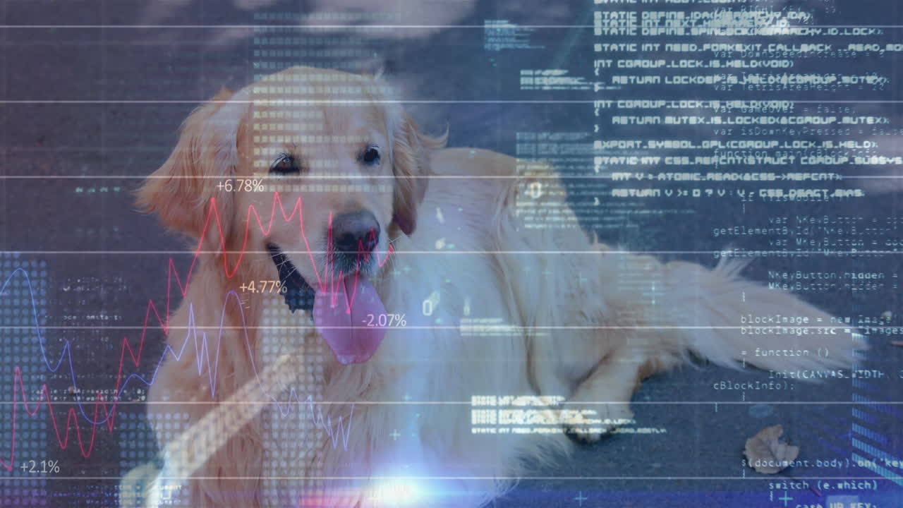 Golden retriever dog panting on concrete, code streams pulsing and line charts climbing beside leaf