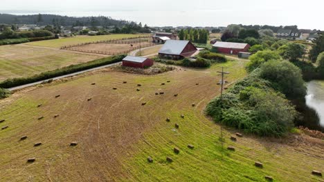 aerial view flying over a fresh harvest towards a classic red barn