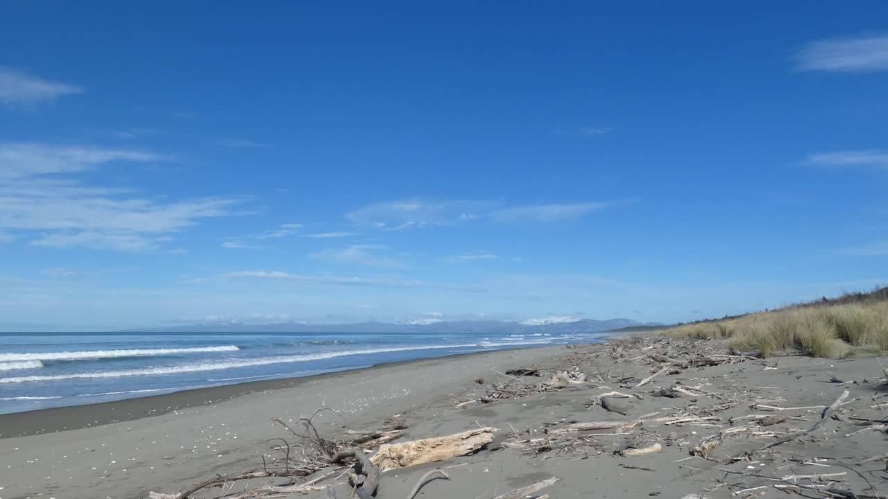Small waves roll into driftwood strewn sandy beach on a sunny winter's day with snow visible on distant hills - Pegasus Bay, New Zealand